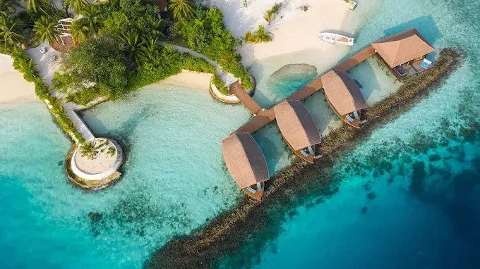 OZEN RESERVE BOLIFUSHI